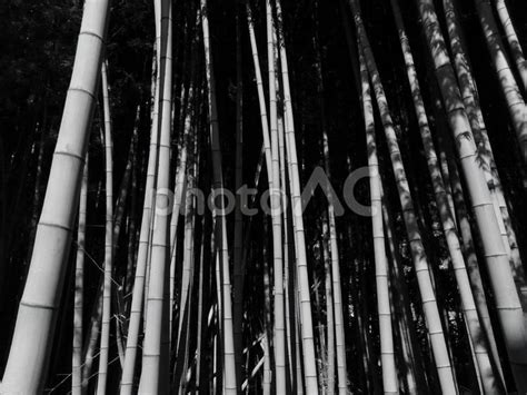 Image result for Negative String Slicing in Python