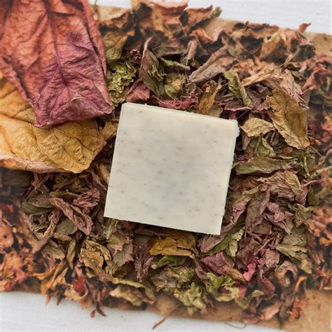 Premium Quality Papaya Soap for Skin Nourishment