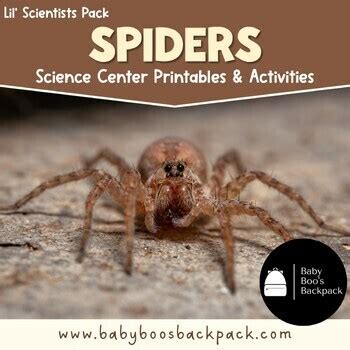 Image result for Science Lab Report On Spider