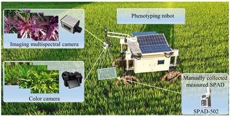 Estimating Rice SPAD Values via Multi-Sensor Data Fusion of ...