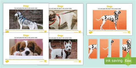Dog Photo Puzzle Strips (teacher made) - Twinkl
