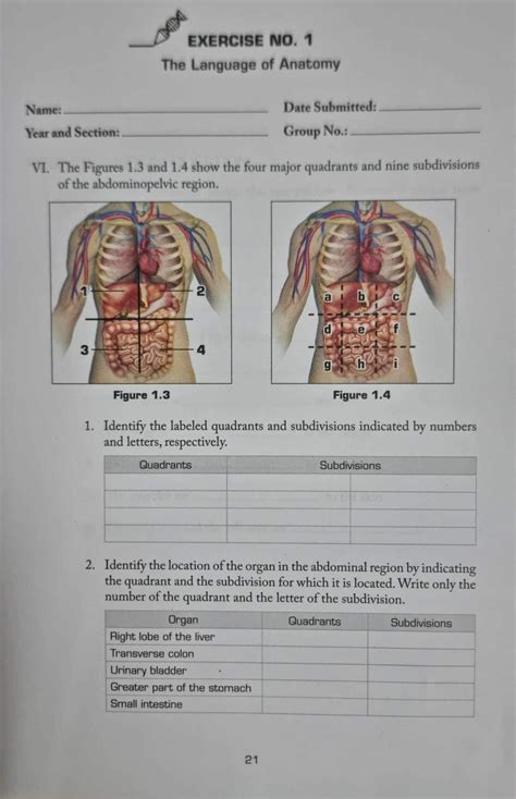 EXERCISE NO. 1 The Language of Anatomy Name: Date Submitted: Year and Section: Group No.: VI ...