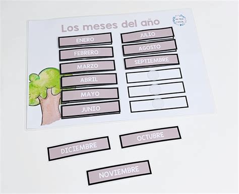 ORDENAR MESES DEL AÑO - UNA MIRADA ESPECIAL