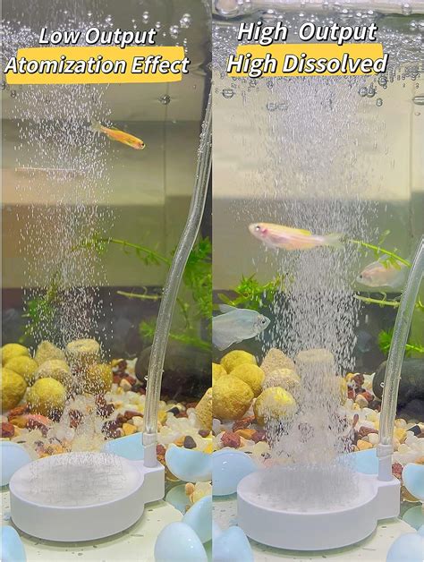 What Is A Bubbler For A Fish Tank at Ronald Whitehurst blog