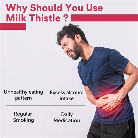 Simply Herbal Milk Thistle (Silymarin) Support Liver Health 500Mg - 60 ...