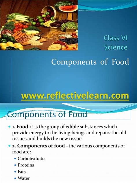 Science Components of Food 的图像结果
