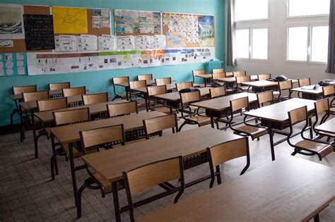 19 Interesting Facts About Elementary Teachers - Facts.net