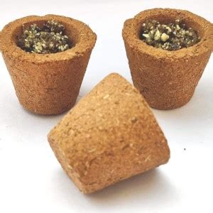 SR Sambrani Cup SR Sambrani Cups 02 Jasmine Dhoop Price in India - Buy ...