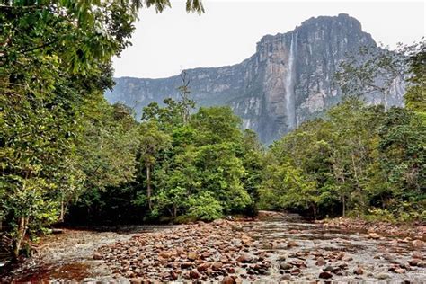 Angel Falls (Canaima National Park) - 2020 What to Know Before You Go ...