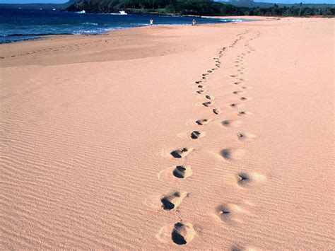 Image result for Digesting Exercise