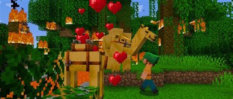 Image result for How to Get Minecraft Java 23