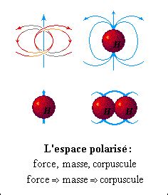LA COHERENCE DE L'EXISTENCE