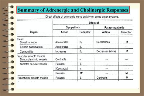 INTRODUCTION TO AUTONOMIC PHARMACOLOGY Part V - Actions of a | PPT