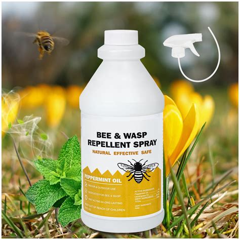 Can I Spray Carpenter Bees at Julia Belcher blog