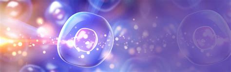 What is Stem Cell Banking? Know Significance of Stem Cell Preservation