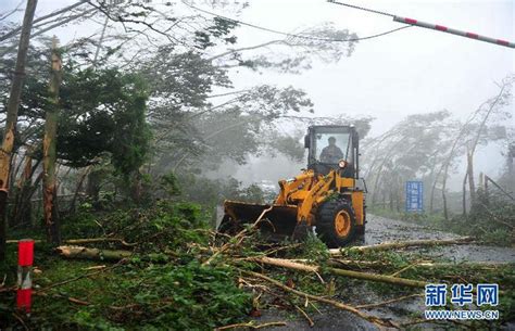 17级超强台风威马逊连根拔起大树 致1人遇难 - 青岛新闻网