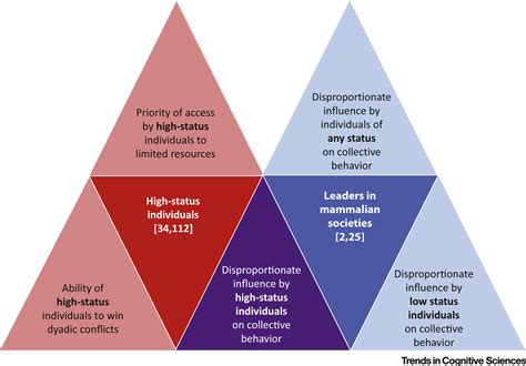 A Dual Model of Leadership and Hierarchy: Evolutionary Synthesis ...