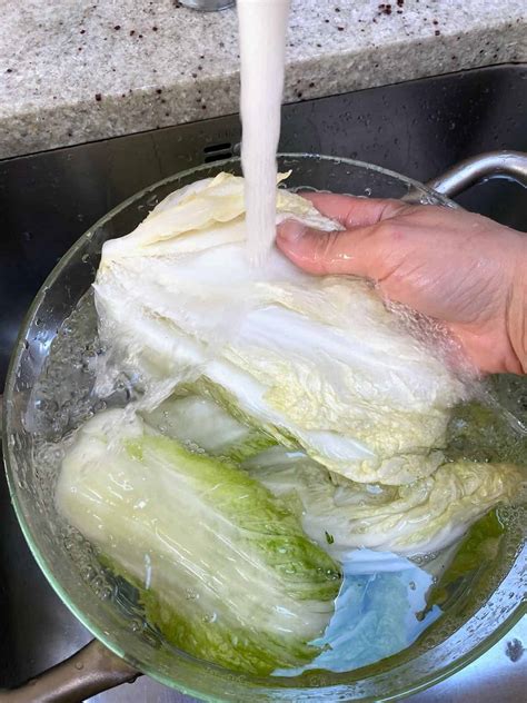 Does Rinsing Kimchi Remove Probiotics (Breaking Down The Myths)