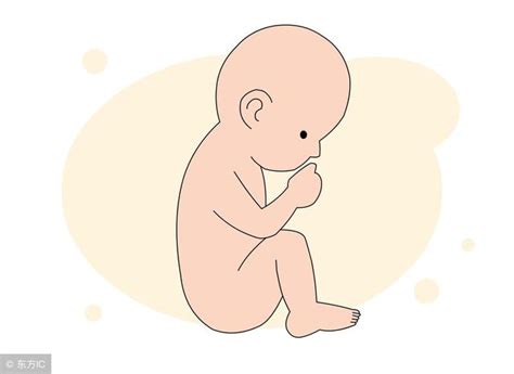 试管婴儿成功后怎么算怀孕周期？其实很简单 试管婴儿胚胎移植的时候，如果移植的是第3天的卵裂期胚胎，末次月经时间是移植日向前倒推17天 如果移植 ...