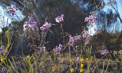 Beacon Tourism (2023): Best of Beacon, Australia - Tripadvisor