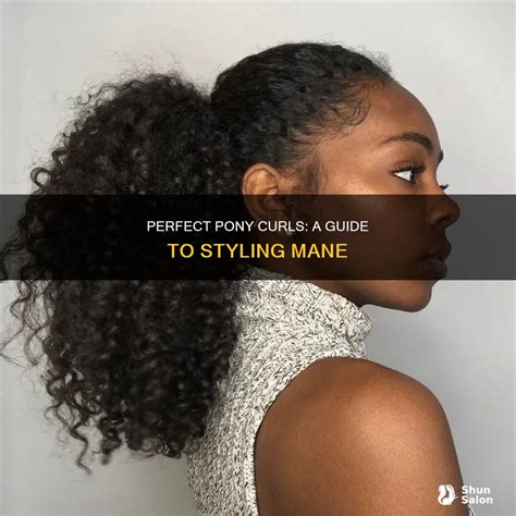 Perfect Pony Curls: A Guide To Styling Mane | ShunSalon