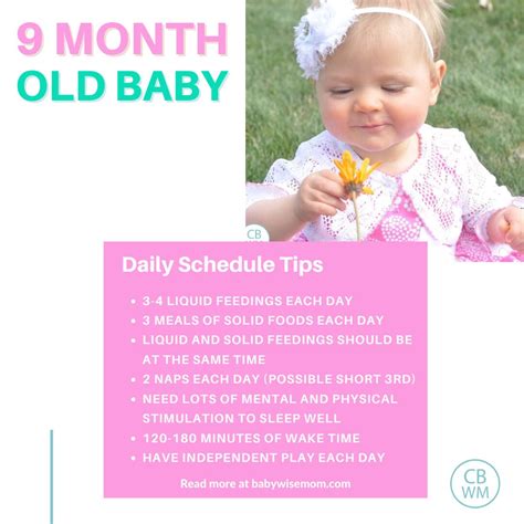 Babywise Sample Schedules: 9 Months Old - Babywise Mom