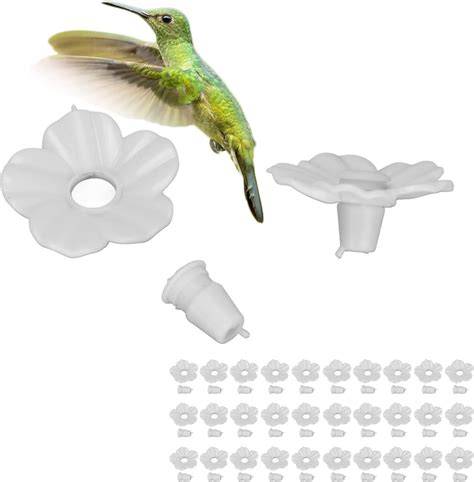 Birds Cafe Hummingbird Feeder Replacement Parts at Kaitlyn Maund blog