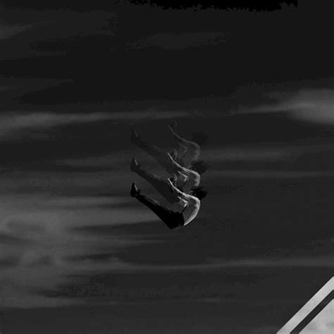 Falling From a Tree Remix 的图像结果