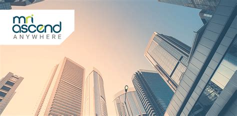 MRI Software Tutorial 的图像结果