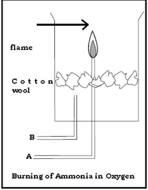 Why is Cotton Wool kept in the flask while burning ammonia in oxygen ...