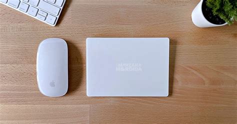 Magic Mouse Vs Trackpad 的图像结果