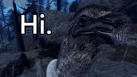 Image result for Random Blog Stream