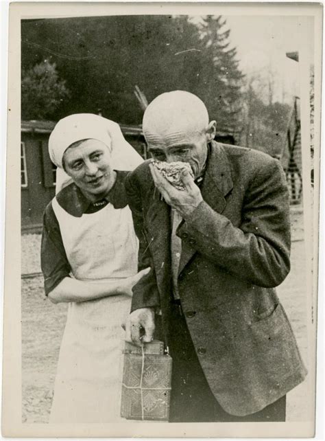 Auschwitz-Birkenau concentration camp - photos, maps, charts - DYNASTY ...