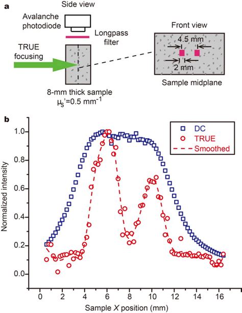 Image result for Deep Tissue Focusing