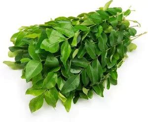 Aro Curry Leaves, Curry Leaf, Kadipatta Seed Price in India - Buy Aro ...