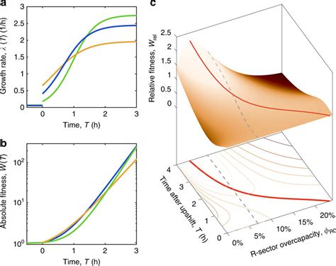 Protein Evolution Landscape 的图像结果