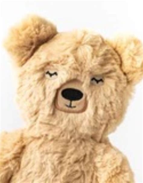 Slumber Kins Stuffed Animal and Book Set Honeybear | Pretty Please ...