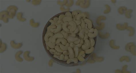 Cashew Processing