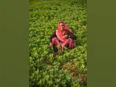 Organic India sets stage for Dharti Mitr Awards 2021; receives over 100 ...