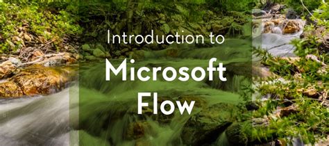 MS Flow Tutorial 的图像结果
