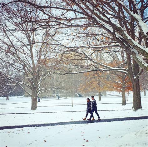Cornell University Winter