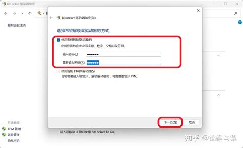 BitLocker C Drive 的图像结果