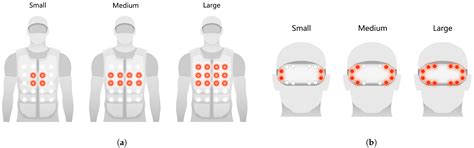 Enhancing Street-Crossing Safety for Visually Impaired Pedestrians with ...