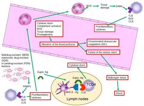Antibiotic-Resistant Septicemia in Pediatric Oncology Patients Associated with Post-Therapeutic ...
