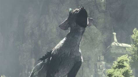 The Last Guardian : toute la vérité sur Trico - IGN First