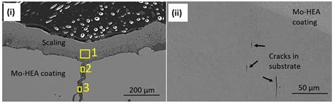 Erosion and Corrosion Resistance Performance of Laser Metal Deposited ...