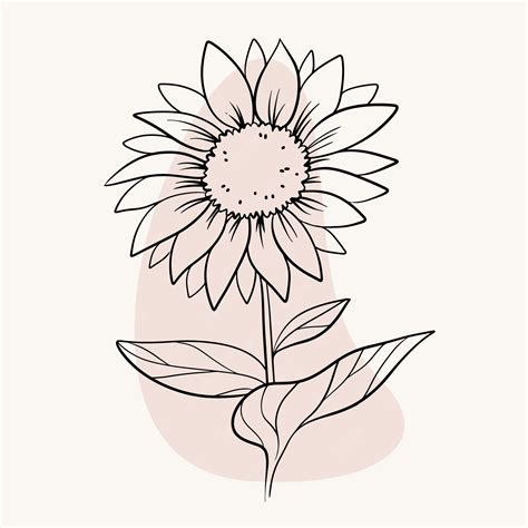 Sunflower Flower Outline