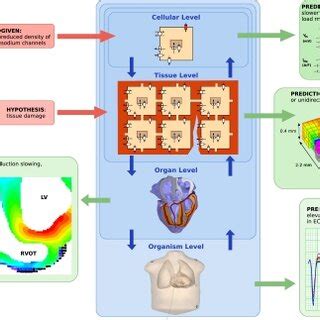 Image result for Computer Model Science Example