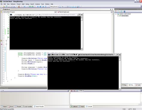 Client Server C Program Linux 的图像结果