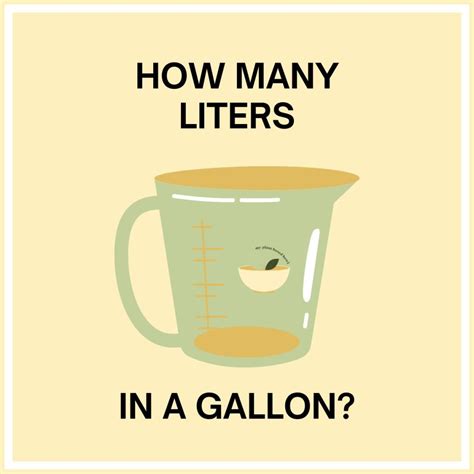 How Many Grams Are In A Pound? + Conversion Chart - My Plant Based Bowl